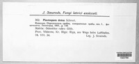 Image Associated With the Occurence